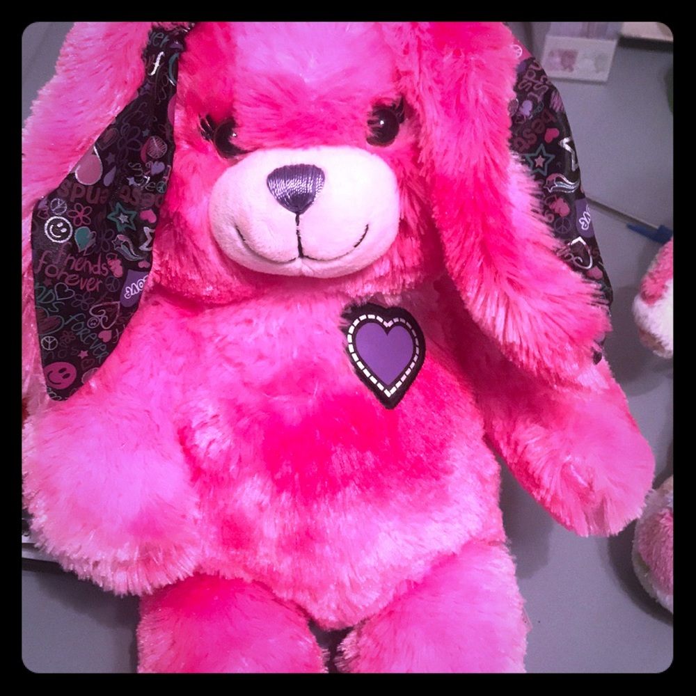 Friendship Bunny Build A Bear